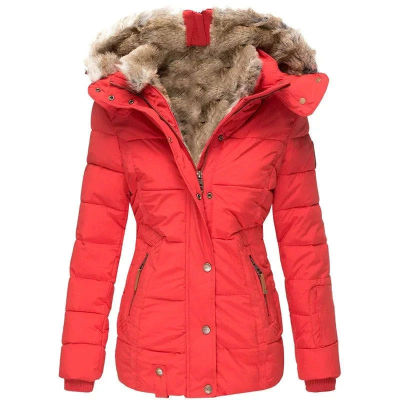Hivélia – La Veste la Plus Chaude pour l’Hiver